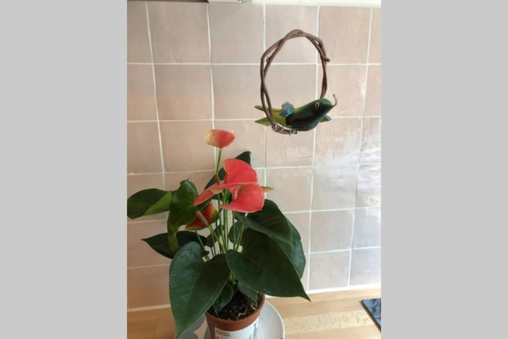 Ma Petite Versalhes Exterior foto